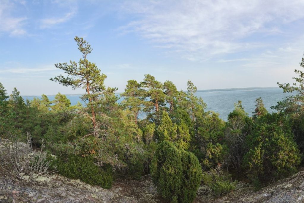 Seesteinen näkymä korkealta kalliolta merelle, avara maisema ja kirkas taivas.