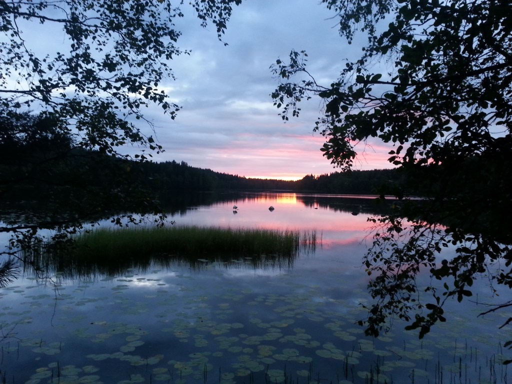 Auringonlasku metsäisessä rantamaisemassa, jossa kirkas taivas ja kultaiset sävyt heijastuvat puiden yläpuolelle.