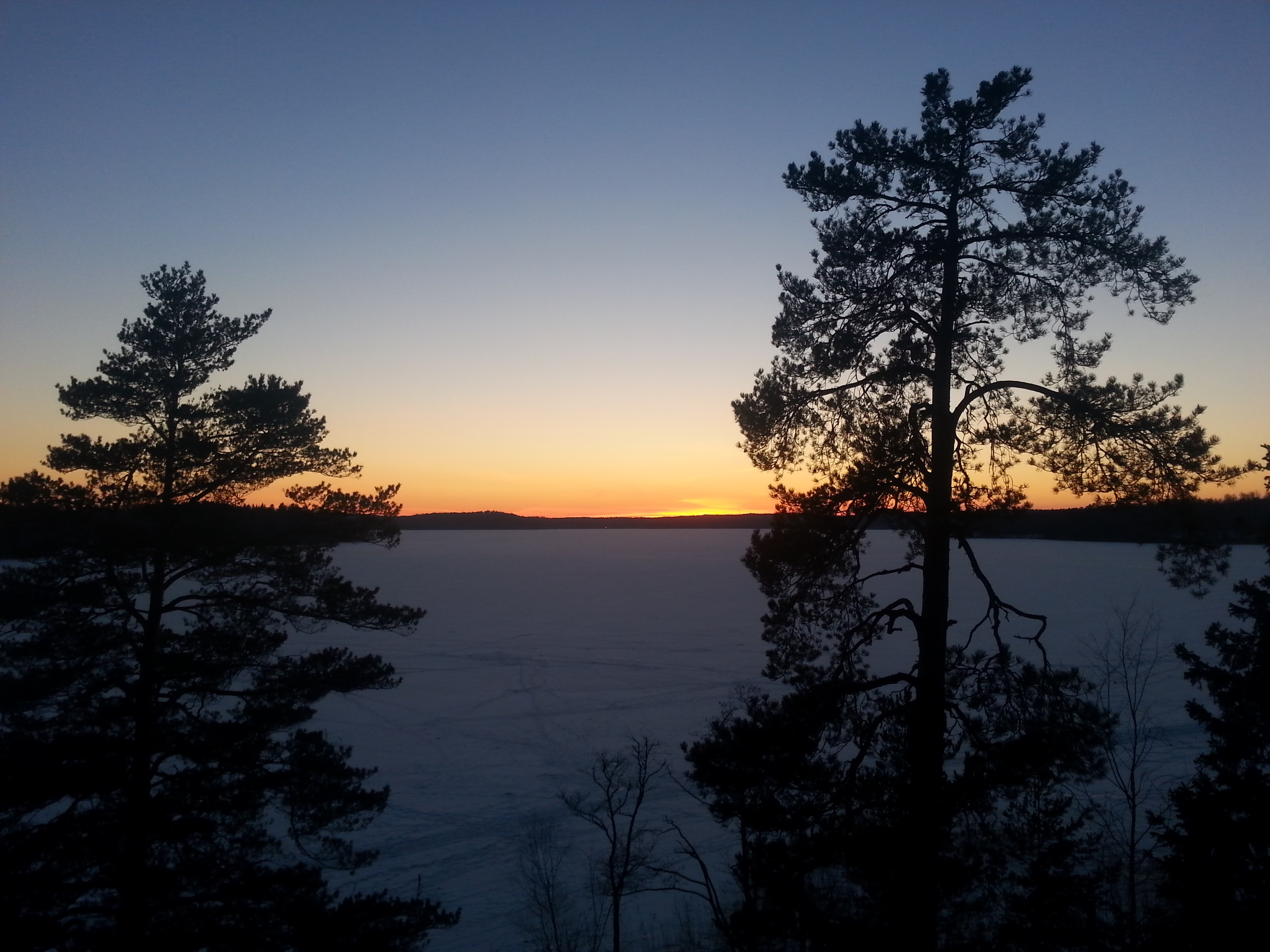 Kaunis ilta-aurinko metsän yllä, kultaiset sävyt heijastuvat taivaalle ja puiden latvoihin.