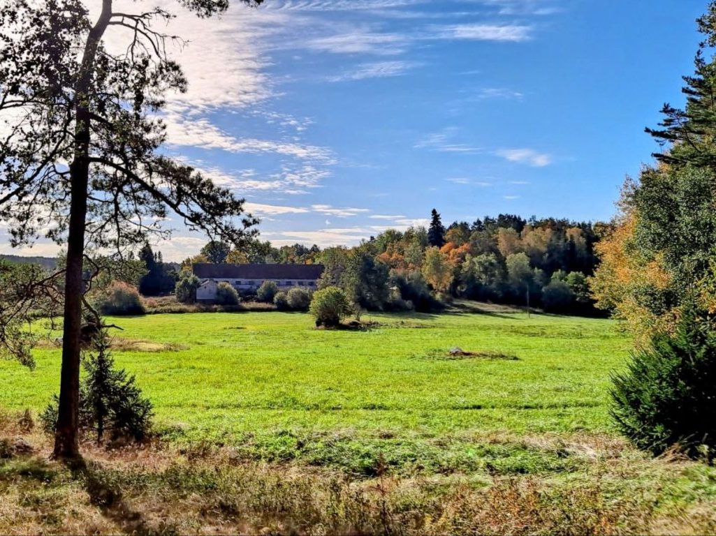 Kuvassa on sininen taivas ja vihreä nitty puiden keskellä.