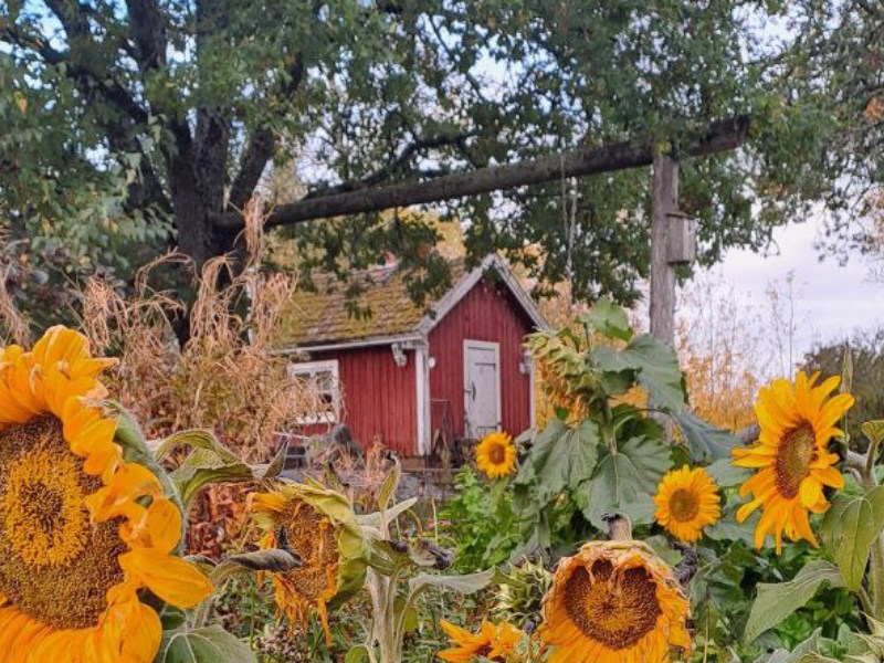 5 asiaa, joita kukaan ei kerro, kun muutat&nbsp;maalle