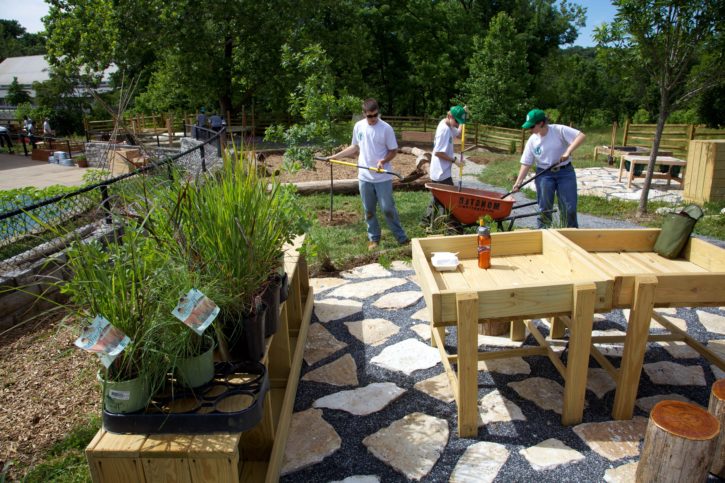 Rauhallinen työskentely- ja puutarhanurkkaus, jossa kasvaa monenlaisia vihreitä kasveja ja kukkia, luoden elävän ja kauniin maiseman.