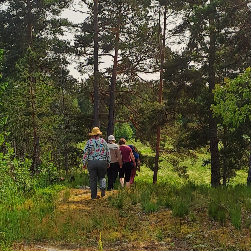 Luontoretriitin osallistujat kävelevät polulla.