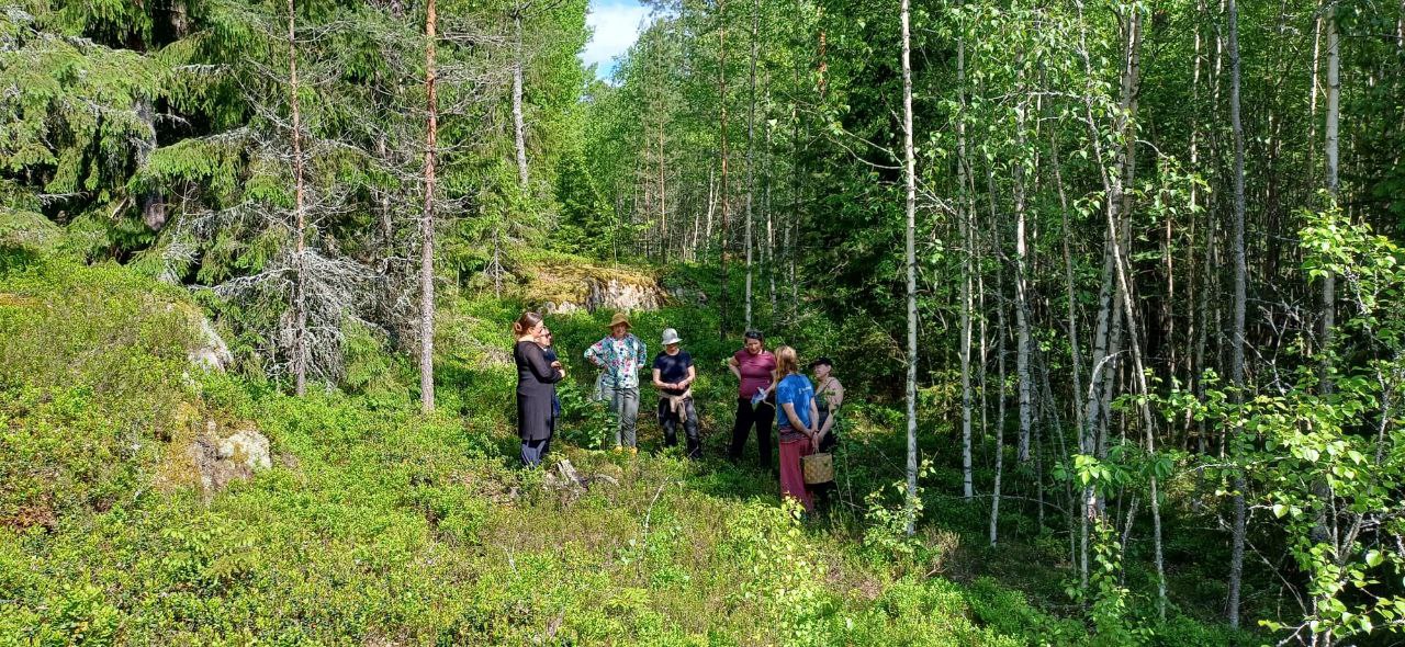 Kurssin osallstujat metsässä
