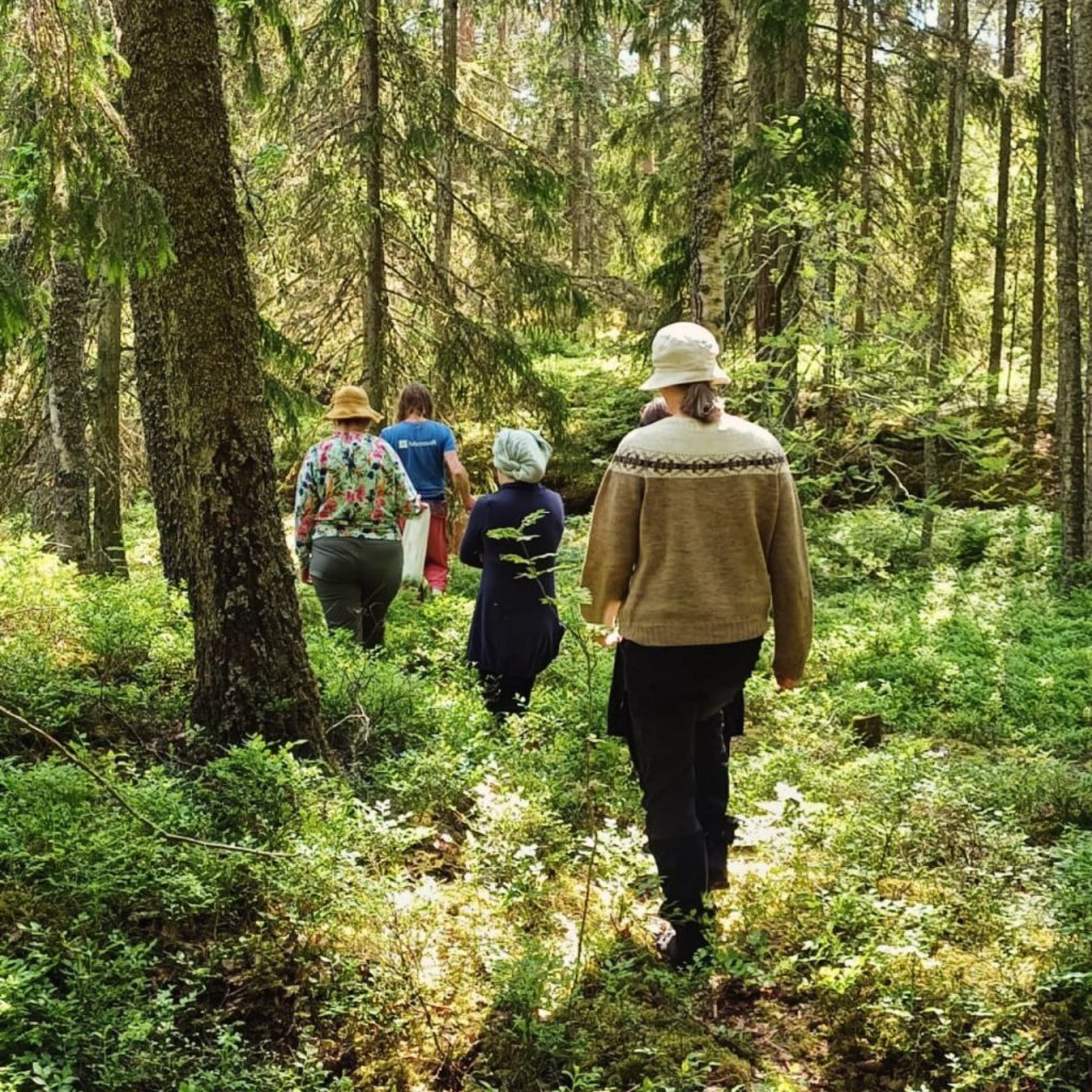 Kohti metsäretriittiä