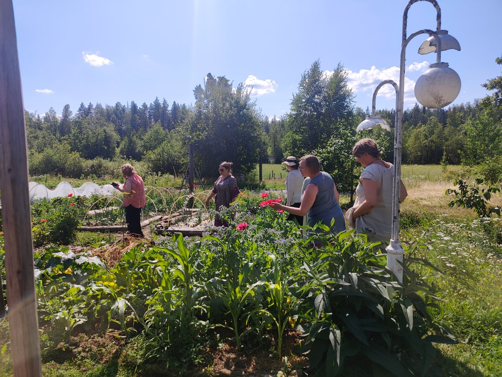 Monimuotoinen puutarha