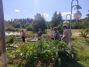 Monimuotoinen puutarha